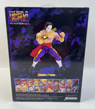 Load image into Gallery viewer, Ultra Street Fighter 2 - Vega