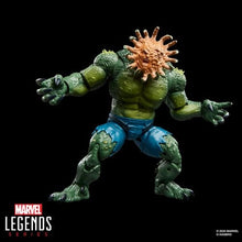 Load image into Gallery viewer, Marvel Legends - The Incredible Hulk - Abomination