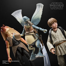 Load image into Gallery viewer, Star Wars - The Black Series - Watto