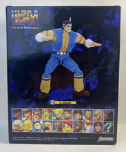 Load image into Gallery viewer, Ultra Street Fighter 2 - T.Hawk